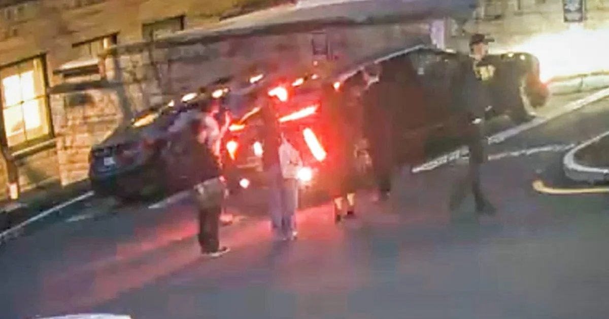 Cornell president accused of backing car into protester says he was victim of ‘harassment’
