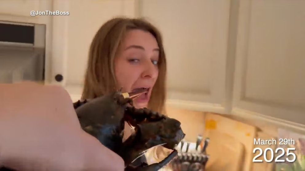 WATCH:  Couple's quirky 'Lobster Day' tradition draws millions online