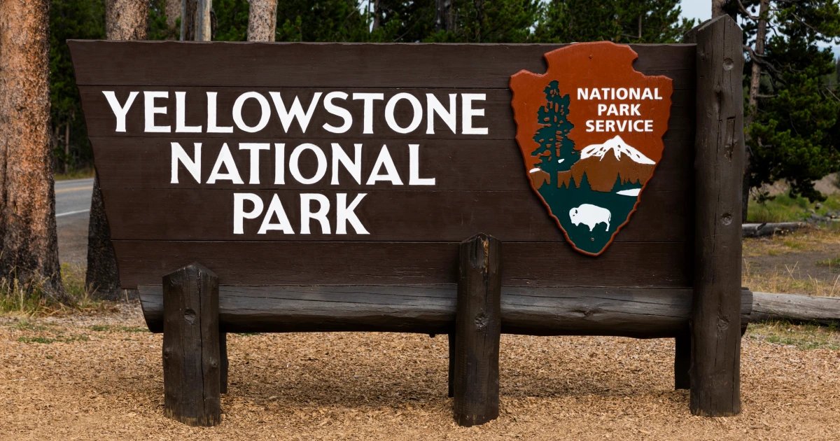 2 hikers injured in bear attack on Yellowstone trail