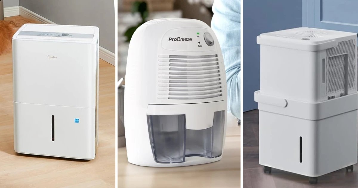 The Best Dehumidifiers of 2026, According to Experts