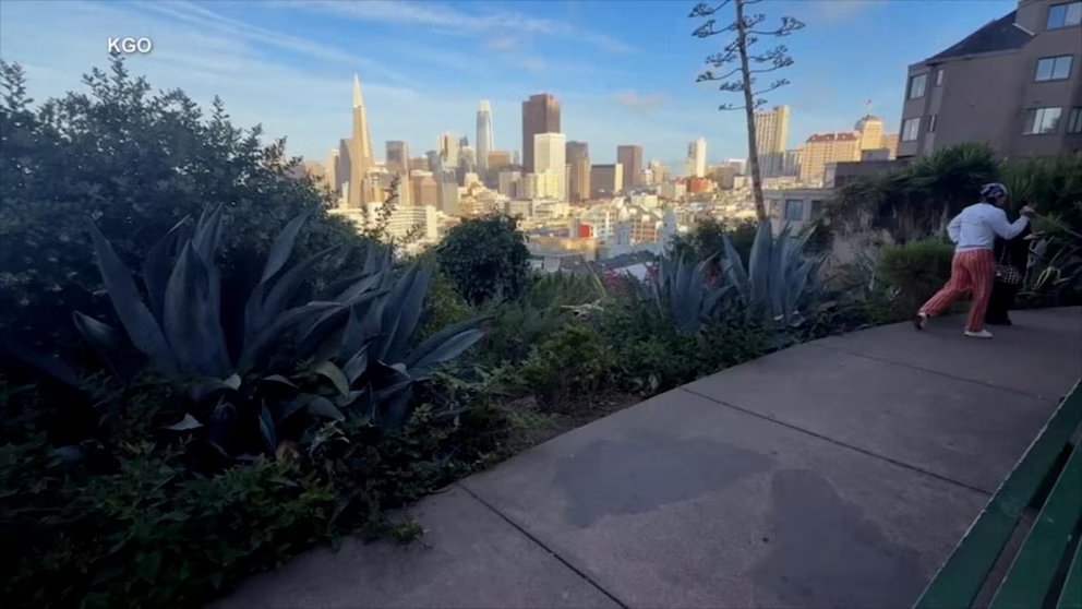 WATCH:  Citywide treasure hunt digs up backlash