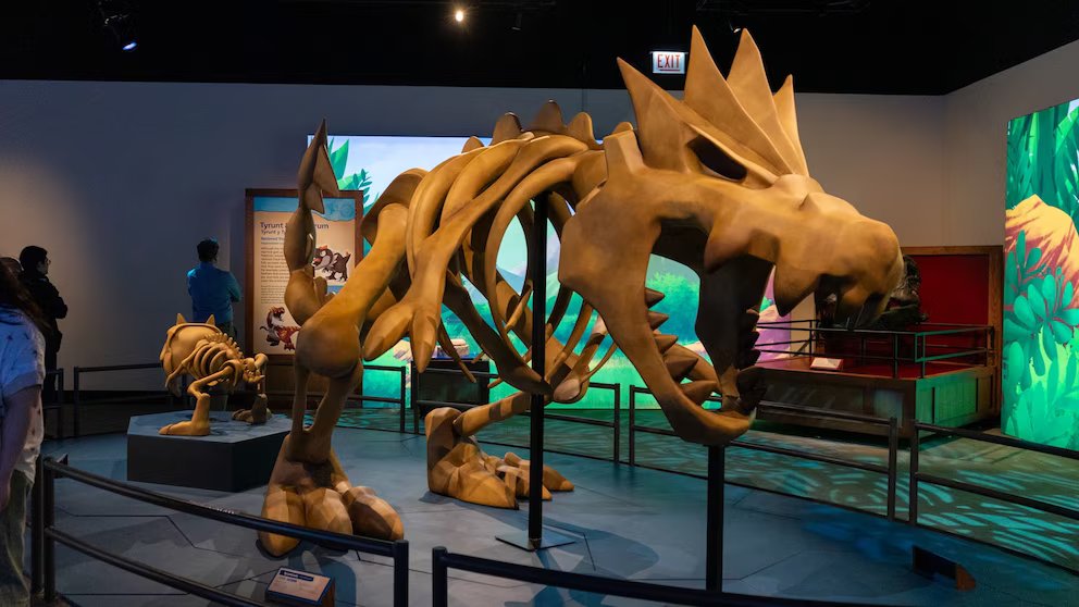 WATCH: This museum exhibit features Pokémon and real fossils