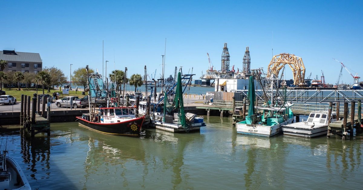Teen bit by shark while boating with father off Texas coast