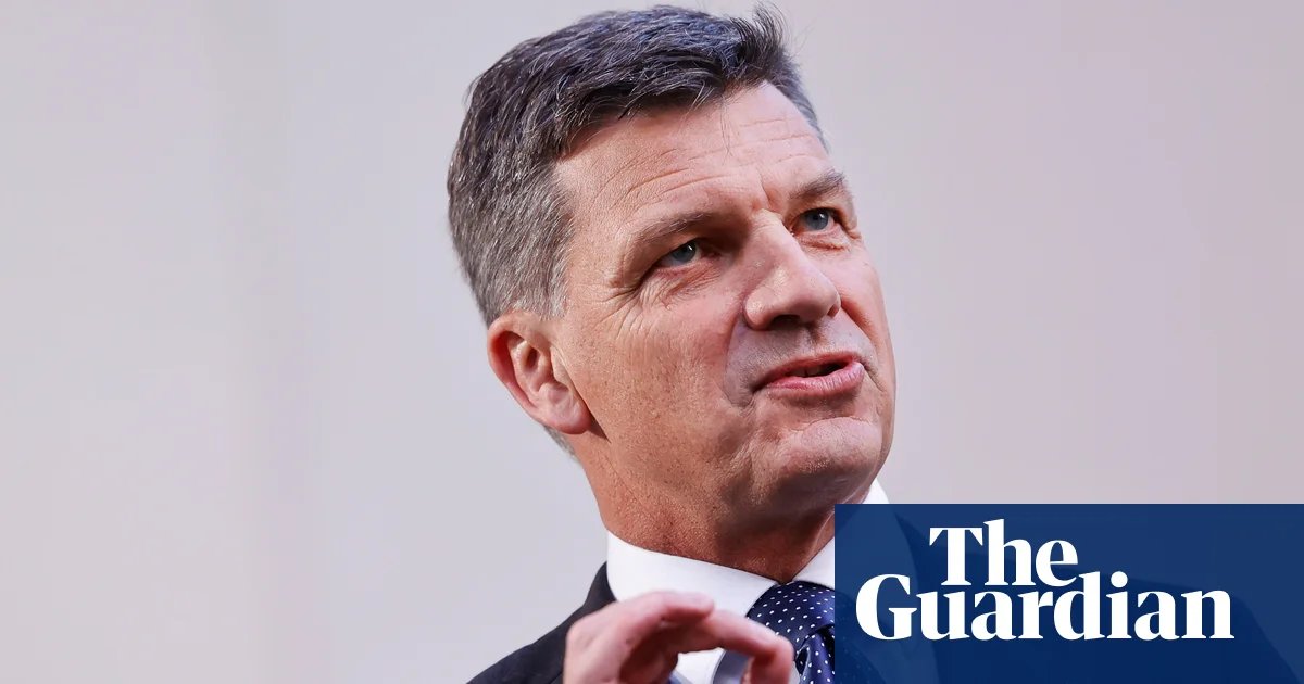 Angus Taylor accused of ‘dog-whistling’ and marginalising immigrants over plan to cut benefits to non-citizens | Angus Taylor
