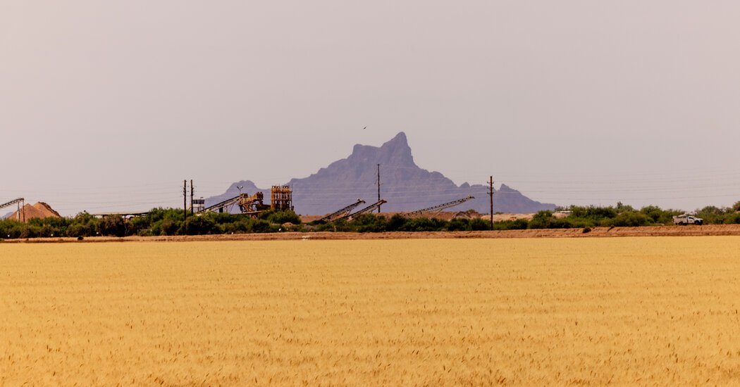 Two of America’s Thorniest Political Issues Are Dividing an Arizona Town