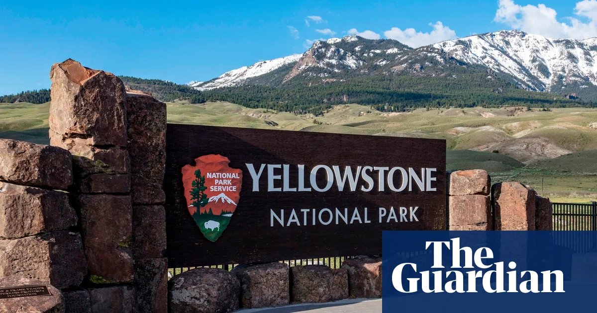 Two hikers injured in US bear attack on Yellowstone trail | US news