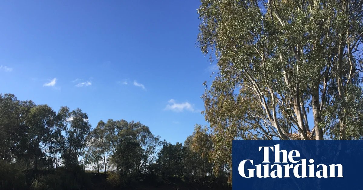 Baby found dead at Wagga beach homeless encampment as mother and another infant taken to hospital | New South Wales