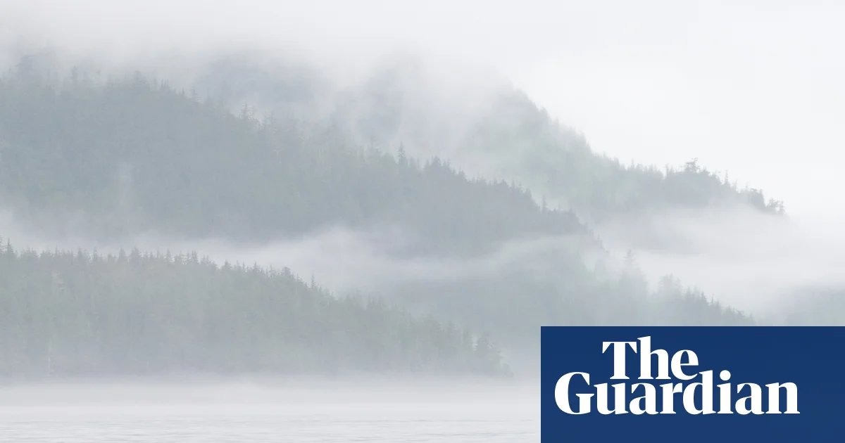 Orcas could be casualty in Carney’s push for pipeline, environmental groups fear | Canada