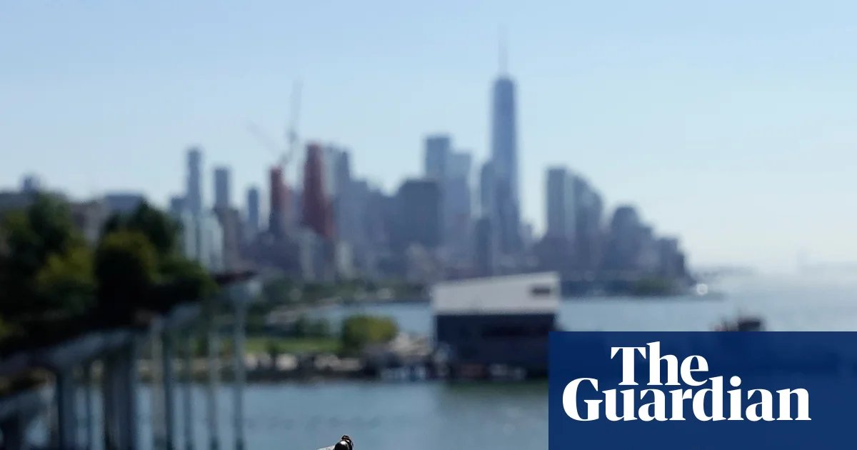 ‘They don’t belong in our environment’: US vineyards battle spotted lanternflies as invasive insects spread | US news