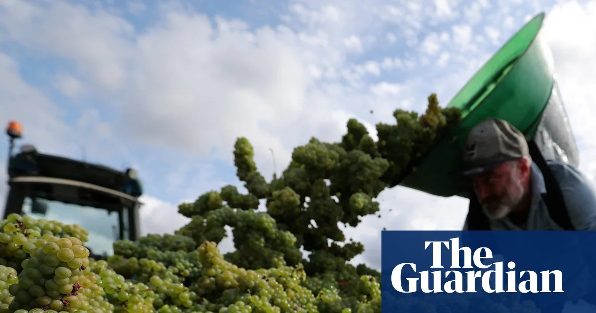 Weather tracker: Europe braces for swing from Arctic chill to extreme heat | Environment