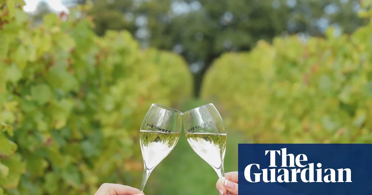 ‘A world-class producer’: English wines toast record gold medal haul | Wine