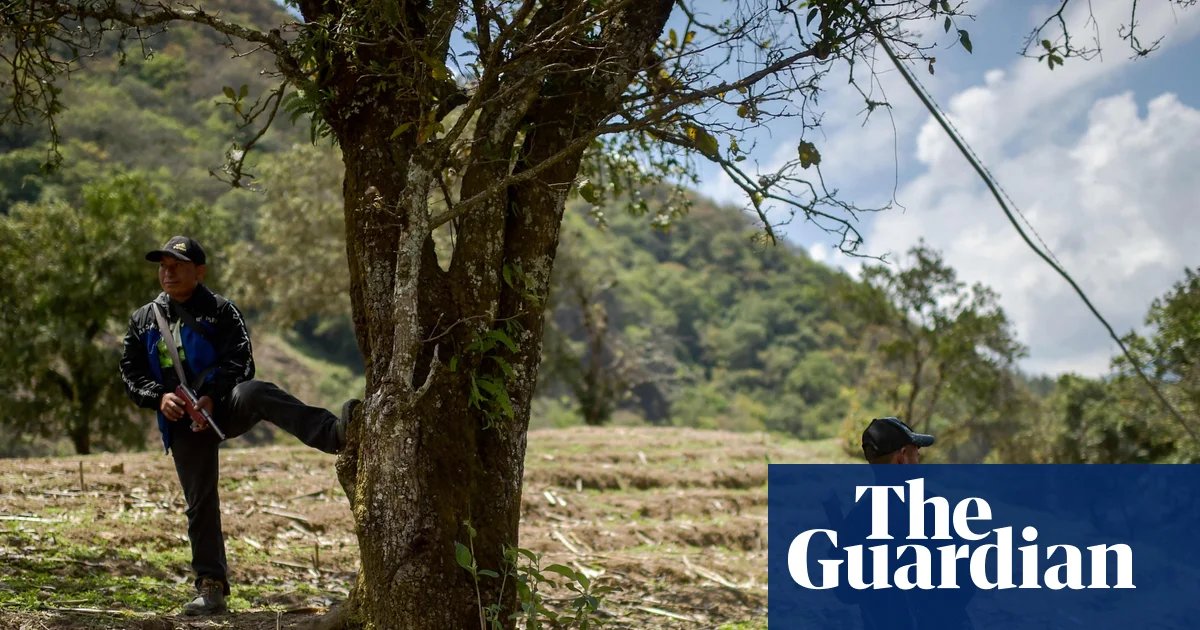 Drug gang attacks ‘force hundreds of Indigenous families to flee’ in Mexico | Mexico