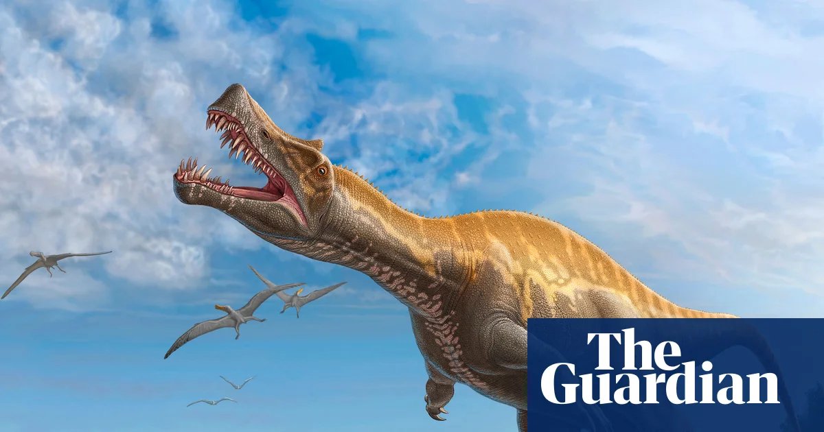 German museum to return rare Irritator dinosaur skull to Brazil | Dinosaurs
