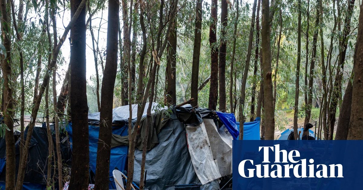 ‘A sobering indictment’: 14 homeless people die a year in public parks or countryside in Australia, analysis finds | Homelessness