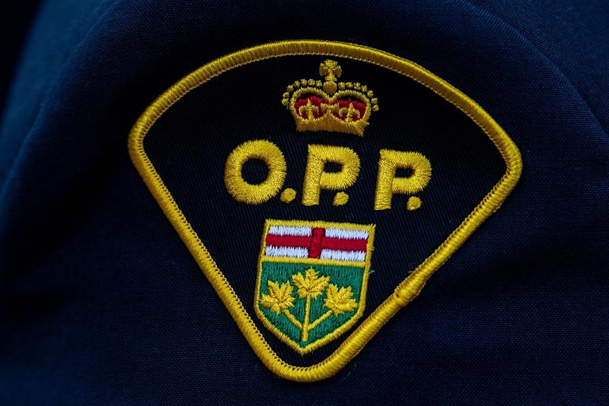 Bodies of child, adult pulled from Lake Erie after being reported overdue: OPP