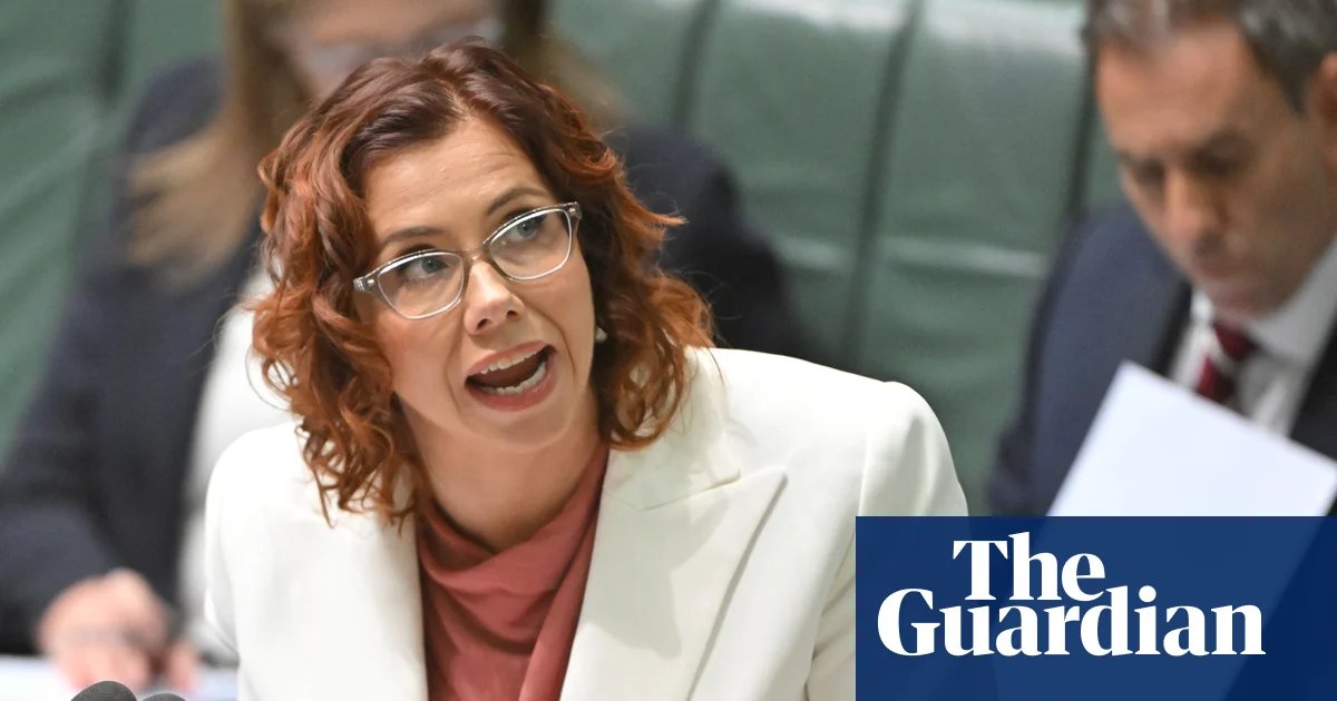 Amanda Rishworth says jobseekers will no longer be forced to submit ‘endless’ pointless job applications | Australian politics