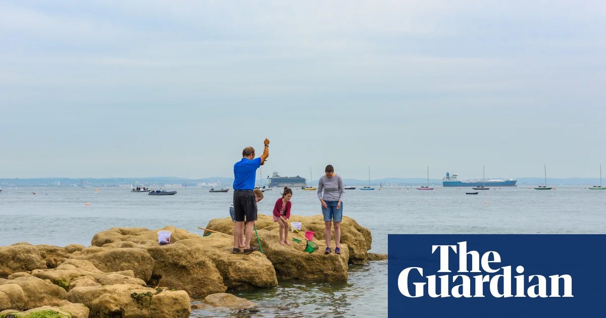 High levels of toxic ‘forever chemicals’ found off coast of southern England | Marine life