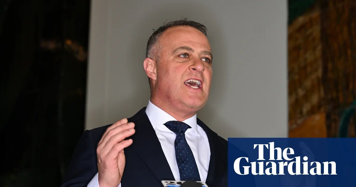 ‘Never, ever’: Tim Wilson walks back comments on potential One Nation rightwing alliance | Liberal party