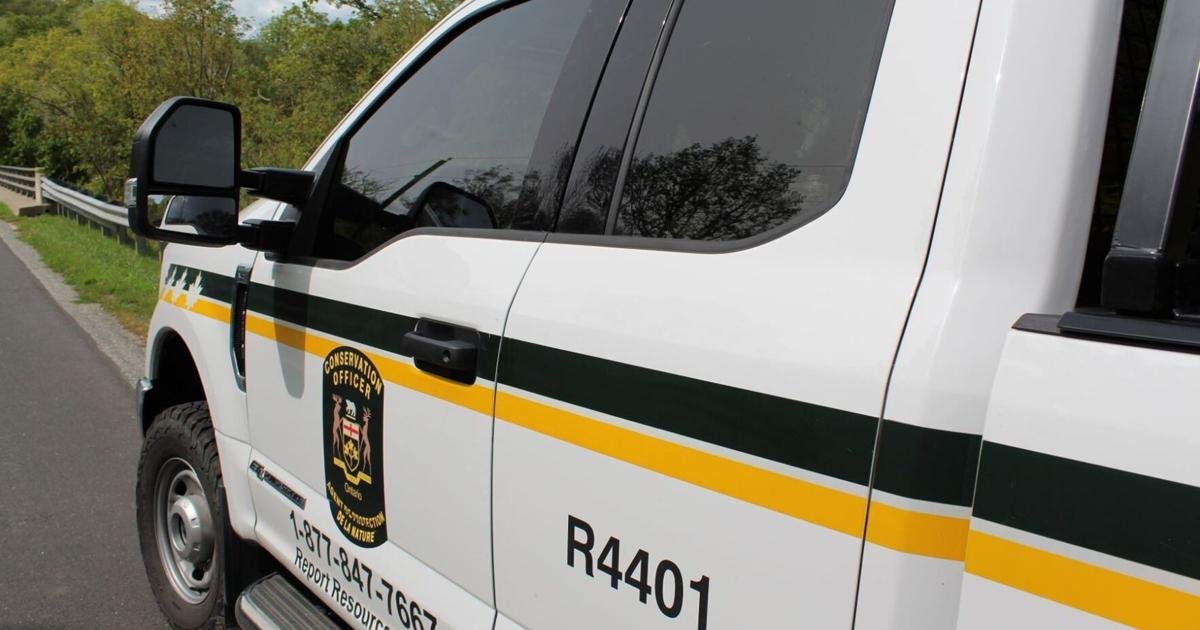 Ontario man fined for catching, harassing Canada geese