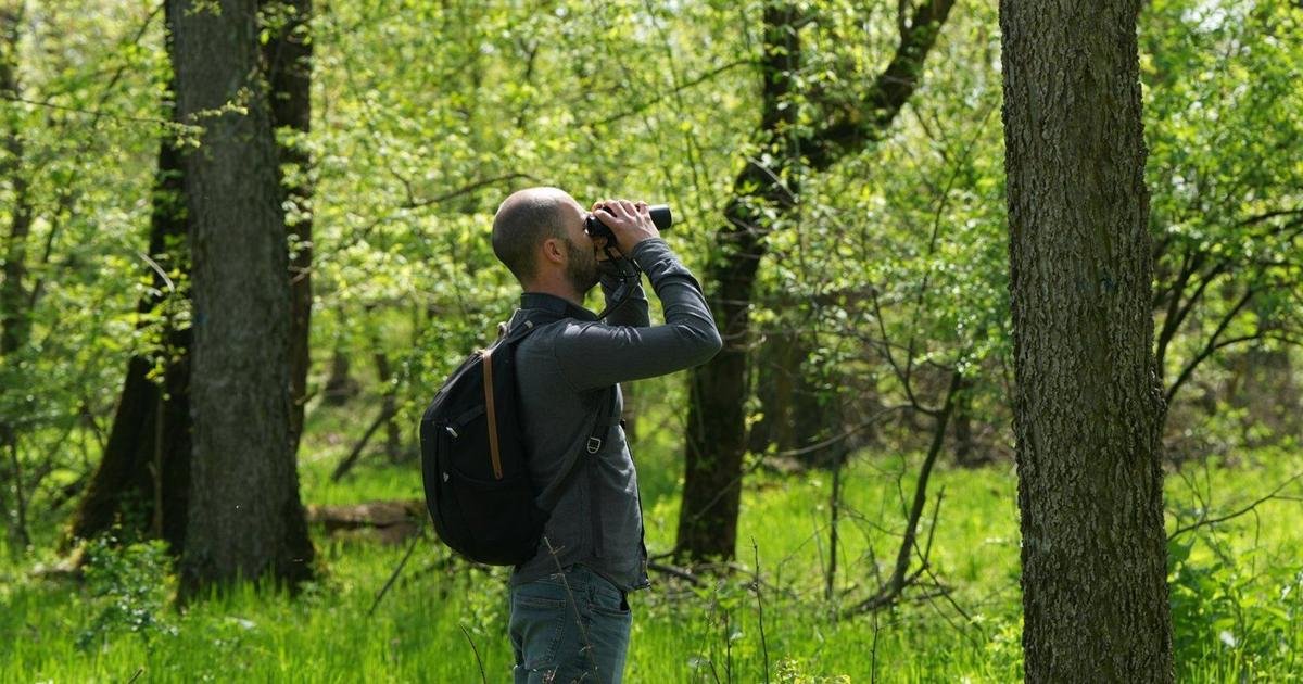 A Serbian bird-watching group uses crowdfunding to buy and preserve a woodland habitat