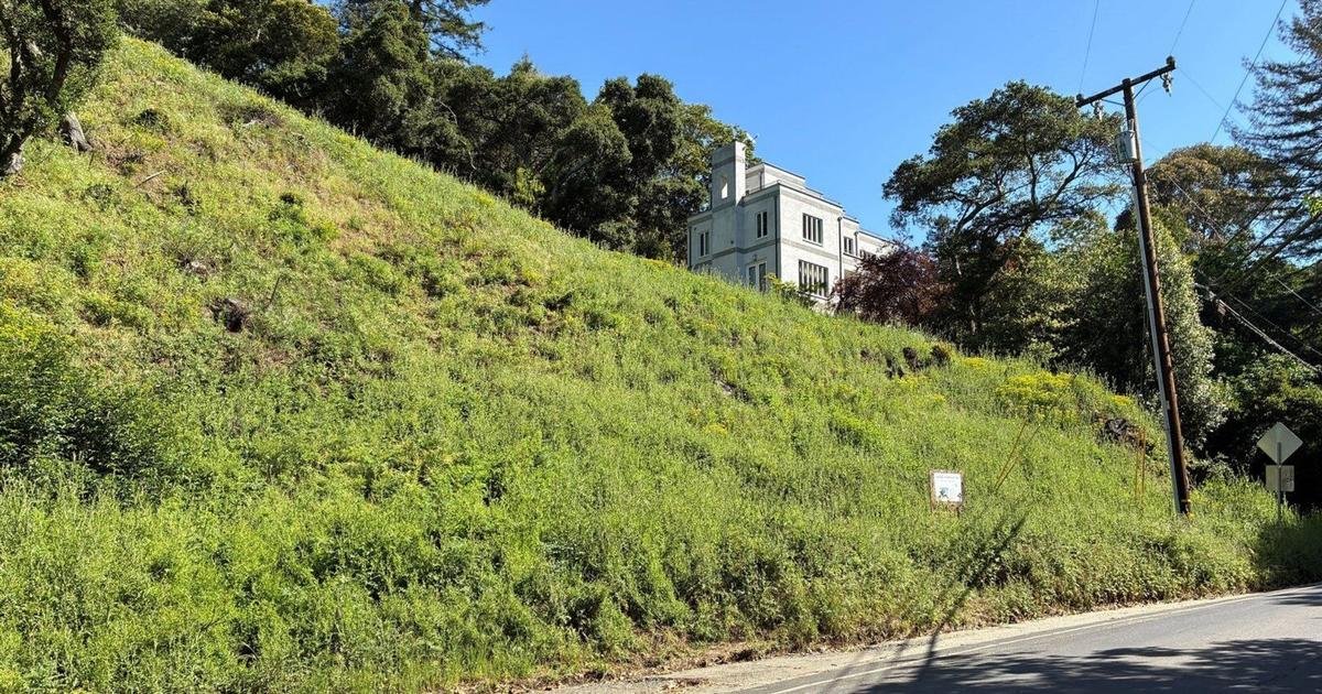 California landowners who cut 38 trees in Oakland hills hit with $915,000 fine