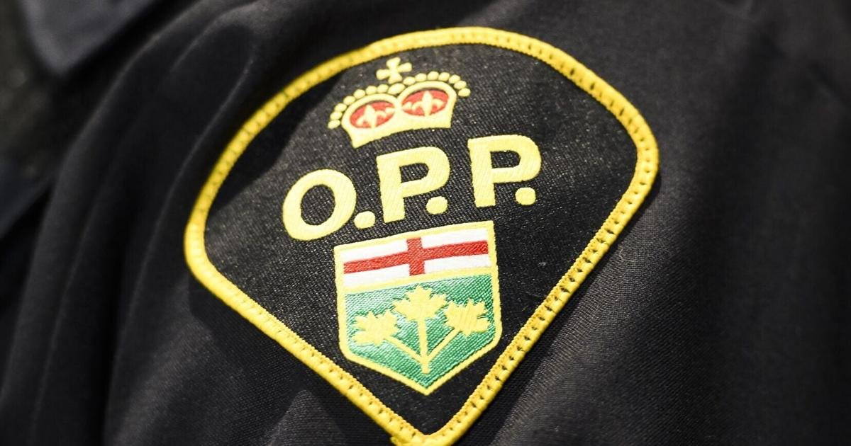 Man killed walking on QEW