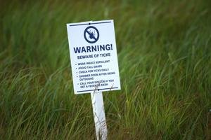 Ticks are surging in Ontario this year and Toronto is a 'hot spot.' Here's how to protect yourself