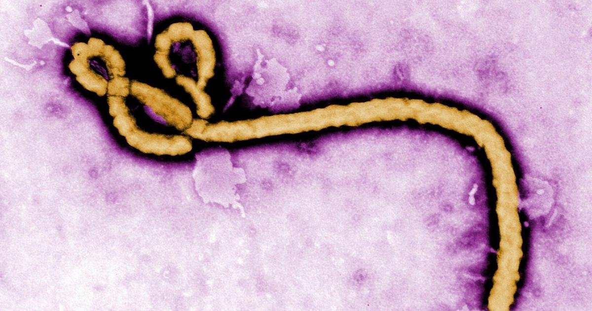 Ministry of Health testing patient for Ebola virus in Ontario