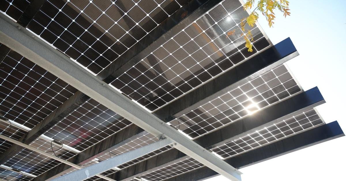 Supercharge renewable energy, cap rent for the young – and art spaces for kids: Here’s what these Torontonians would do if they were mayor