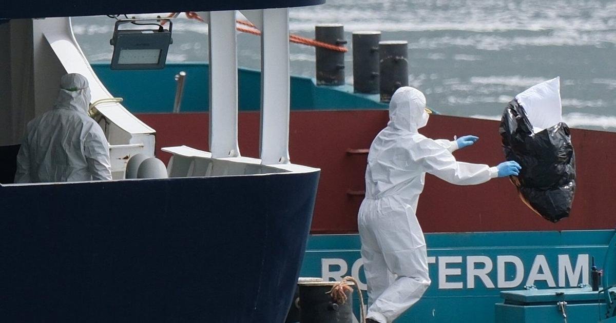 How South African scientists identified hantavirus on a cruise ship thousands of miles away