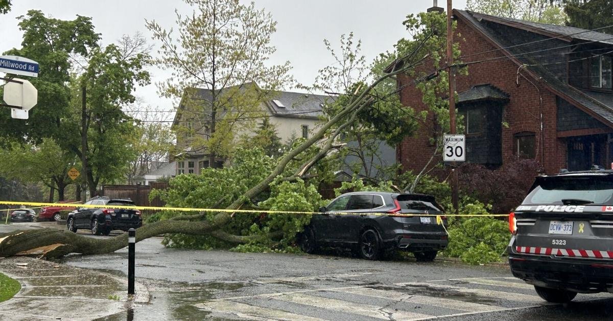 Stormy weather keeps Toronto Fire Services, Toronto Hydro busier than usual