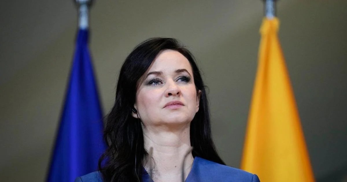 Lithuania suspects foreign involvement in data leak of over 600,000 national register entries