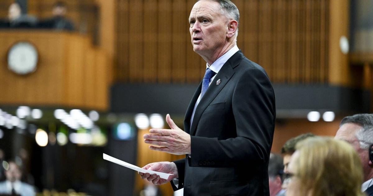Canada's deal with U.S. data giant Palantir is 'legitimate,' defence minister says