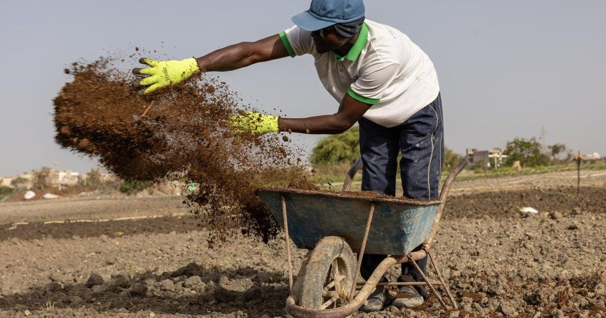 Iran war forces farmers to seek fertilizer alternatives from cow dung to compost