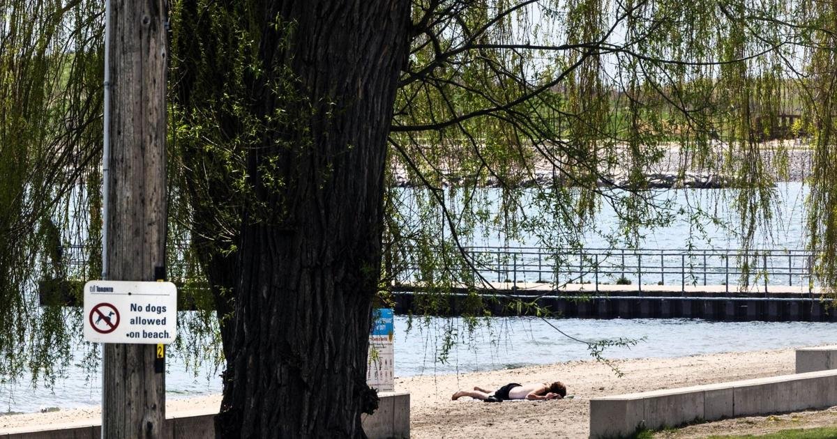 Sunny days ahead in Toronto as summer approaches