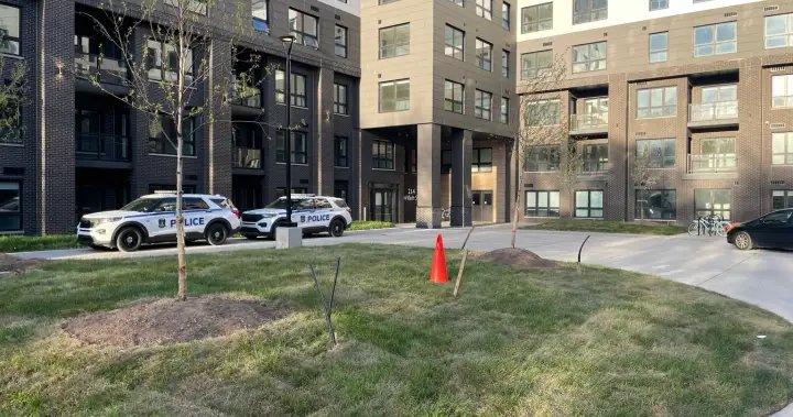 Halifax police say missing newborn found dead, 2 people charged – Halifax