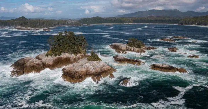 Huge national marine conservation area established off B.C.’s Central Coast
