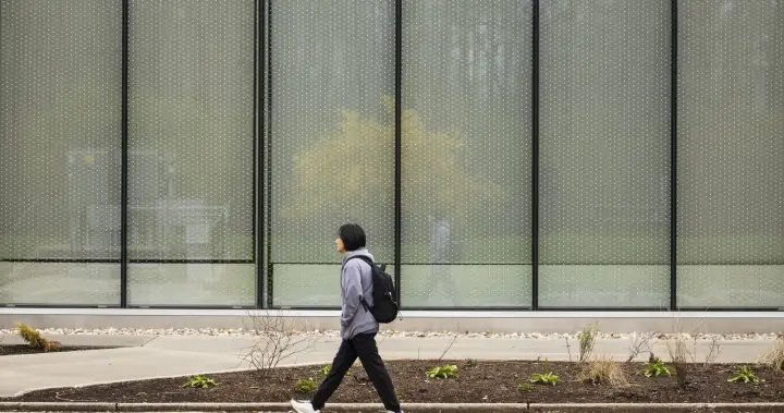 How Ontario colleges are struggling to attract international students after visa changes
