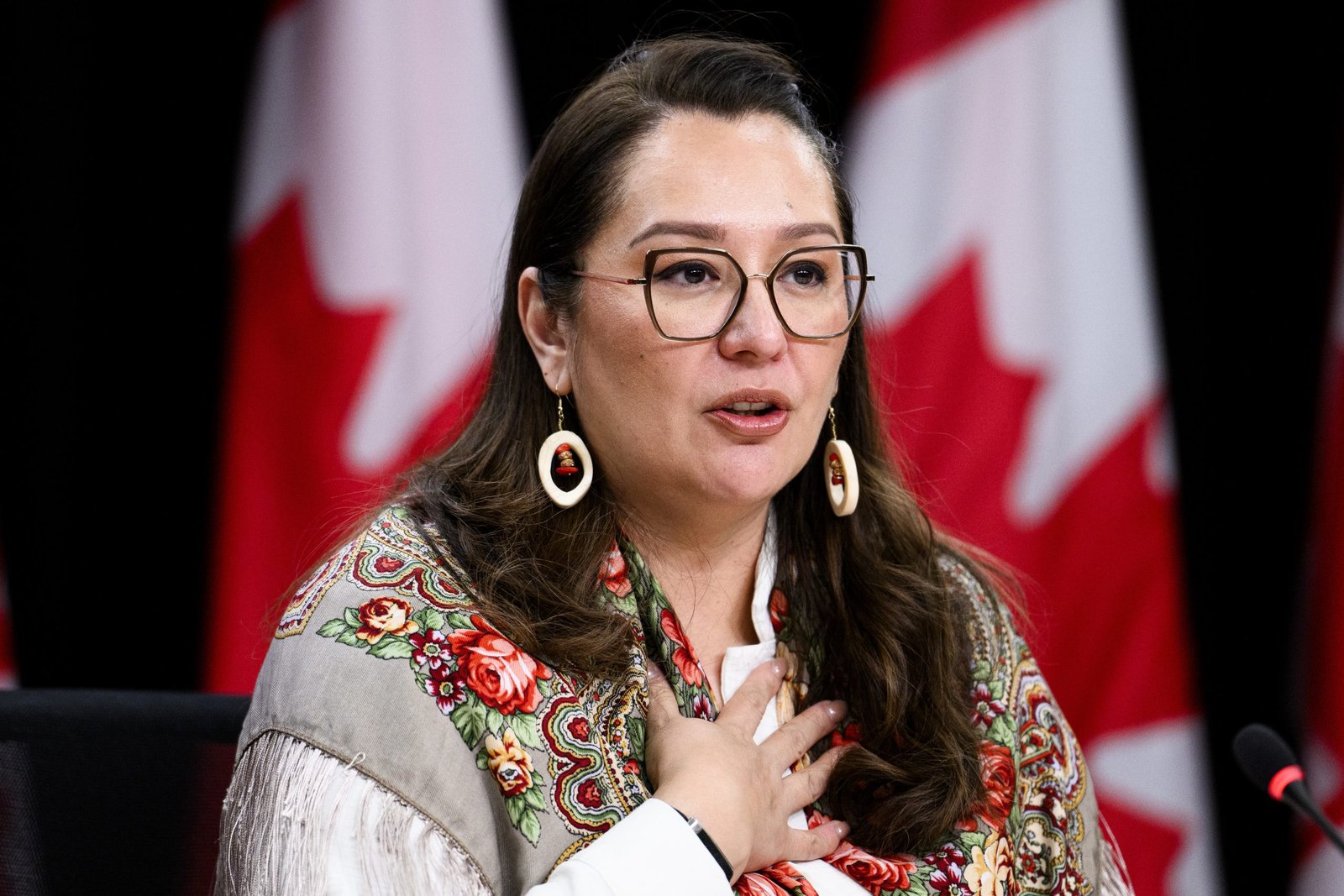 Opposition MPs call on government to support Senate changes ending second-generation cutoff after court ruling
