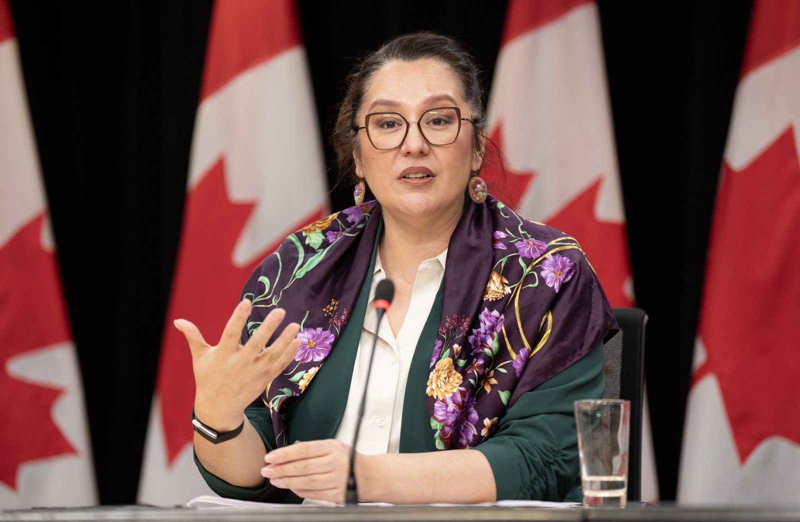 Feds lose bid for court extension of Nicholas ruling
