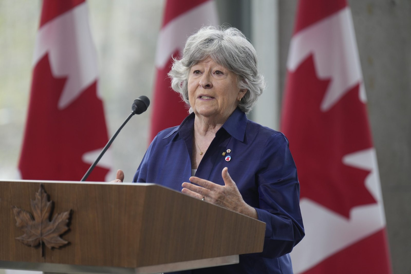 Arbour appointed – iPolitics