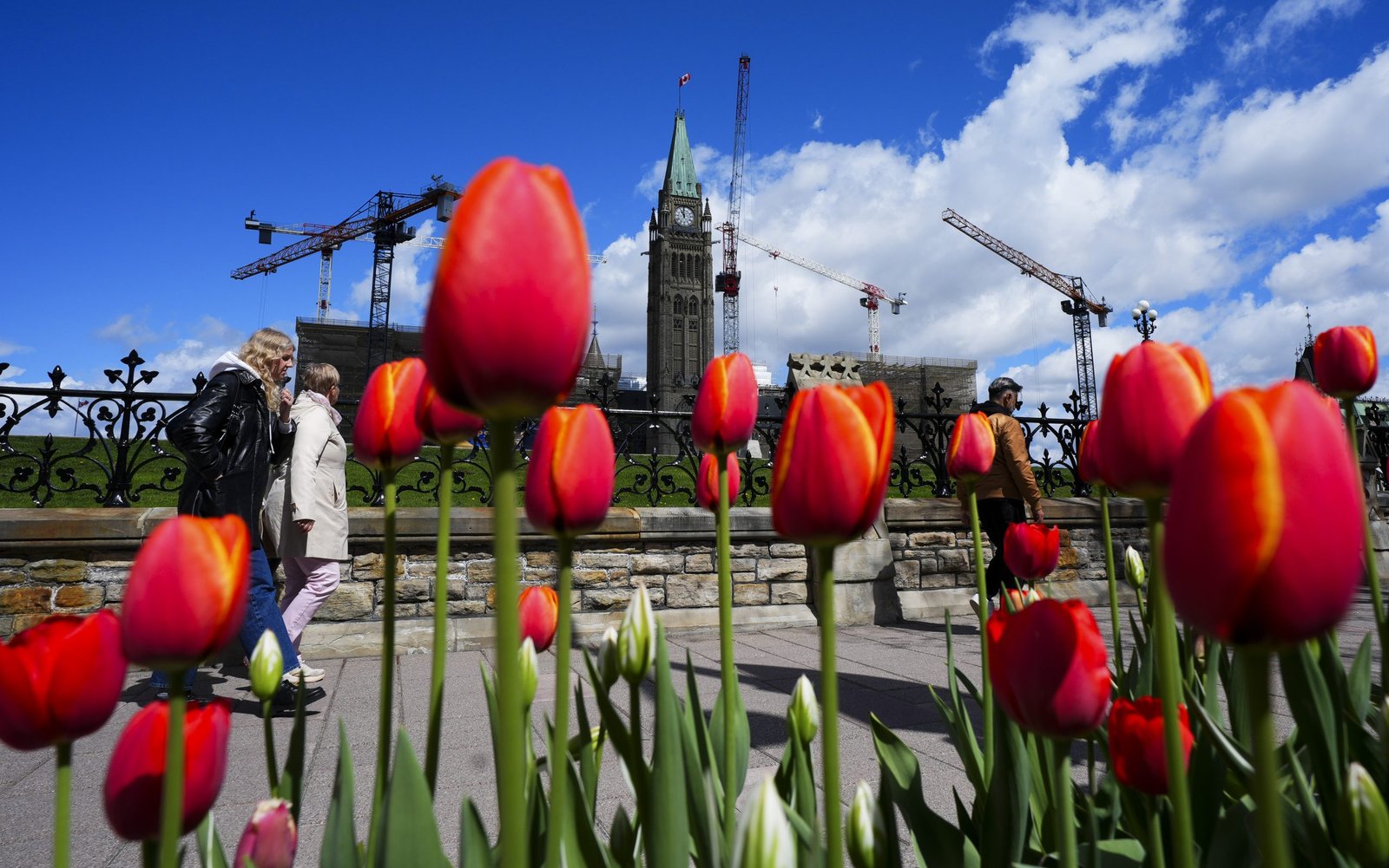 With regular House proceedings on pause, Team Carney front benchers fan out to promote spring update