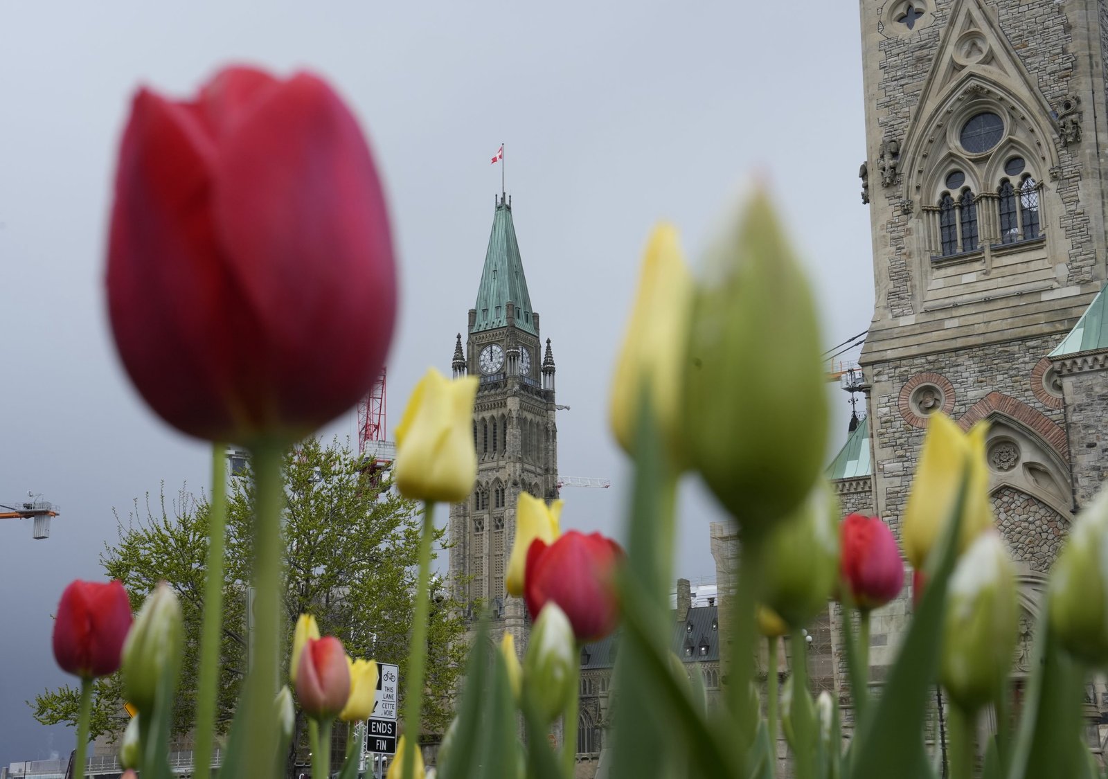 Inclusion groups sign open letter calling on Ottawa to halt MAID for mental illness