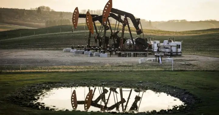 Canada slips into technical recession as economy stalls in Q1: StatCan – National