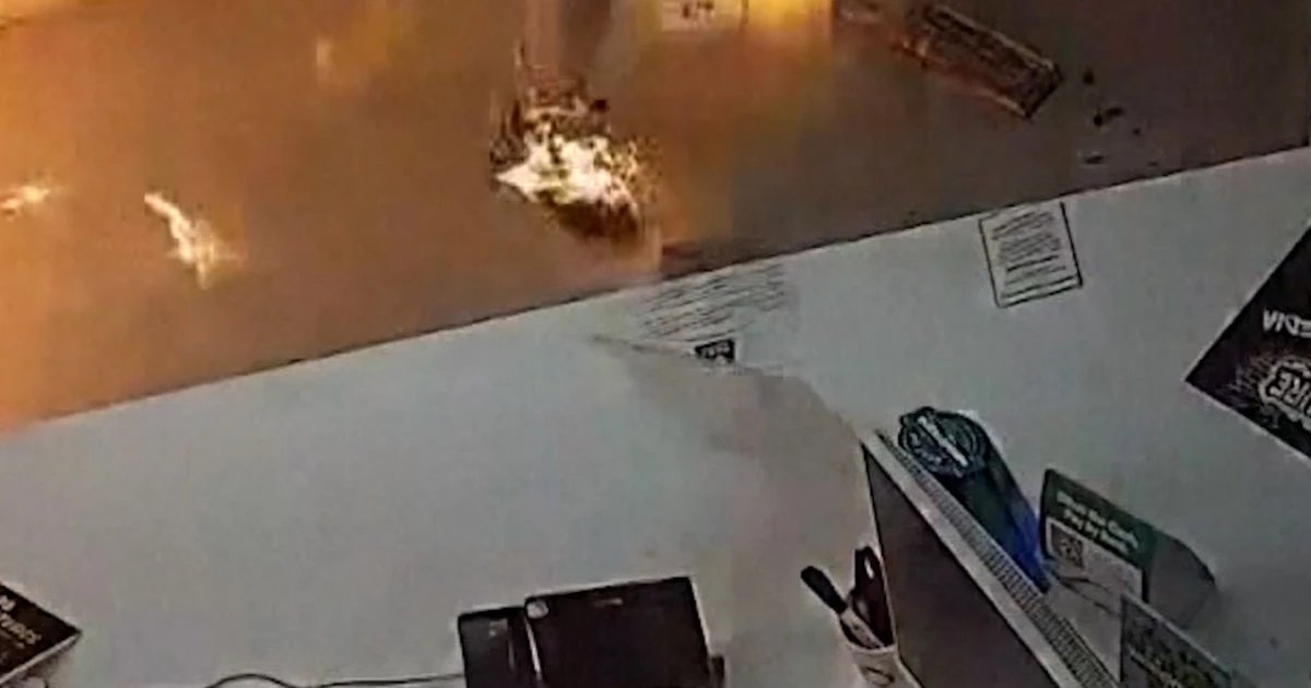 Attempted arsonists accidentally light themselves on fire