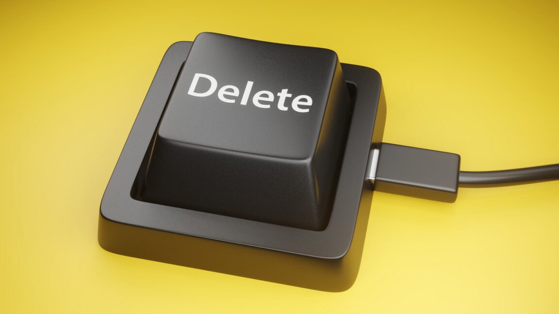 Twin brothers wipe 96 gov’t databases minutes after being fired
