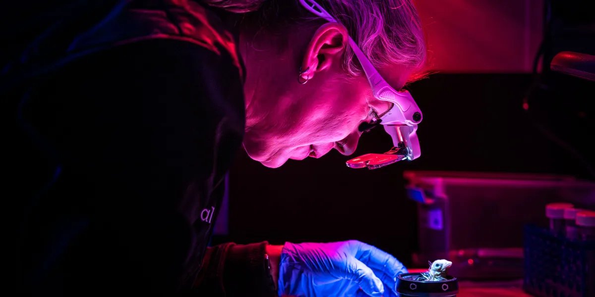 Colossal Biosciences is growing chickens in a 3D-printed artificial eggshell