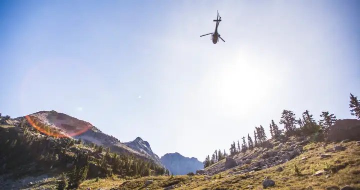 B.C. pilot was distracted by phone when fatal helicopter accident occurred: TSB