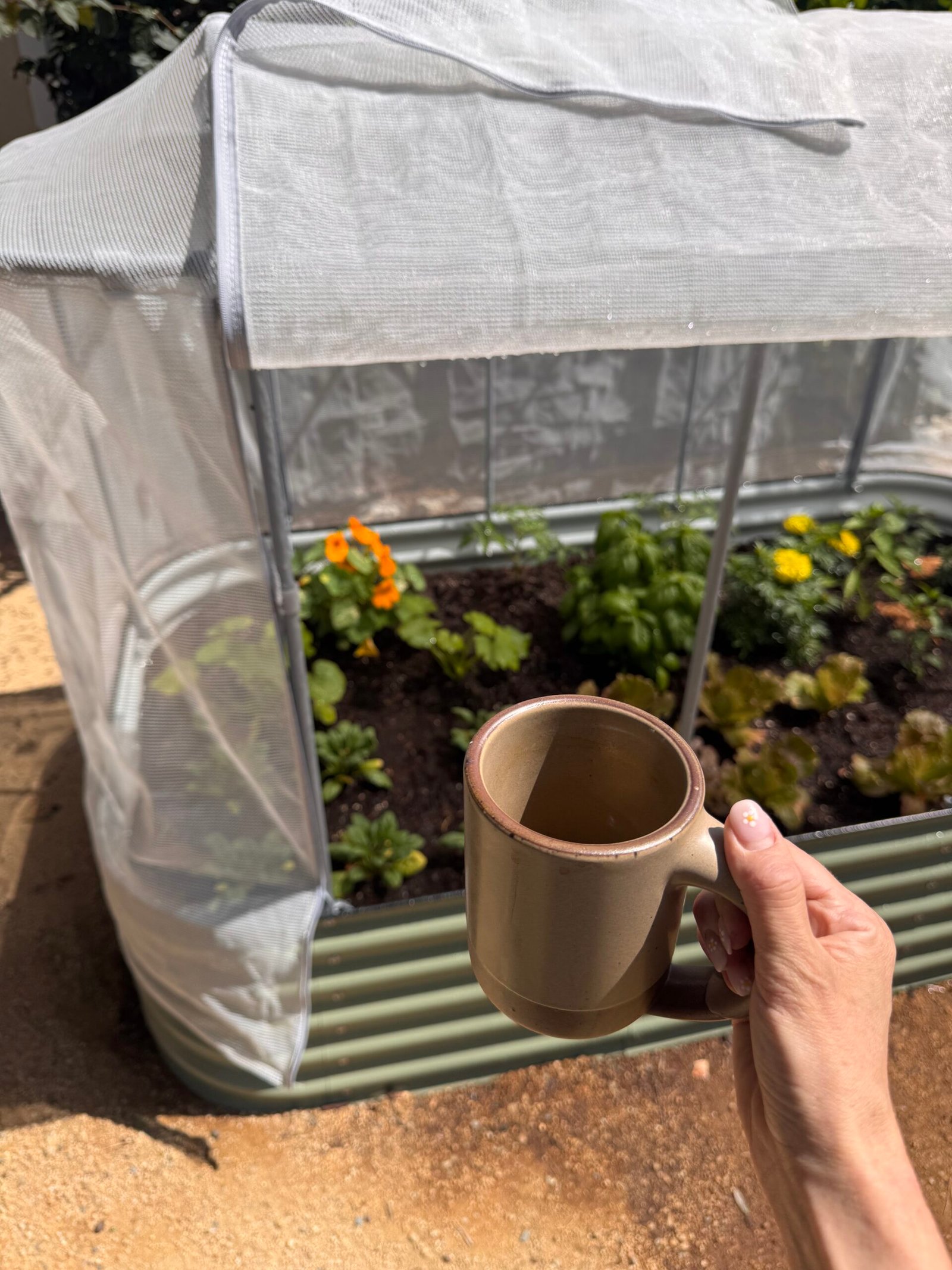 How We’re Creating A Small Urban Homestead While Renting