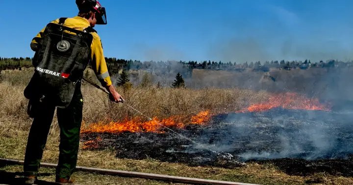 Several grassfires burn in Edmonton as city steps up prevention measures – Edmonton